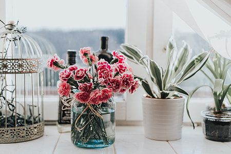 Pink flowers with a calendar thumbnail