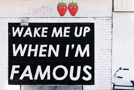 Wake Me Up When I'm Famous text graffiti on wall thumbnail