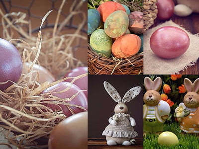 photo of Easter egg and bunny collage thumbnail