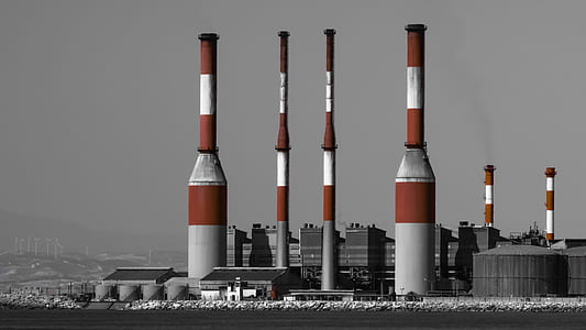 reed and white space shuttles thumbnail