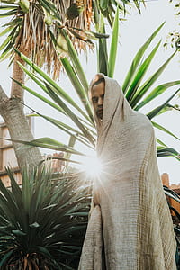 man wearing beige robe near palm tree thumbnail