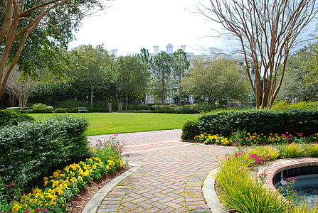 concrete pathway with grass fields thumbnail