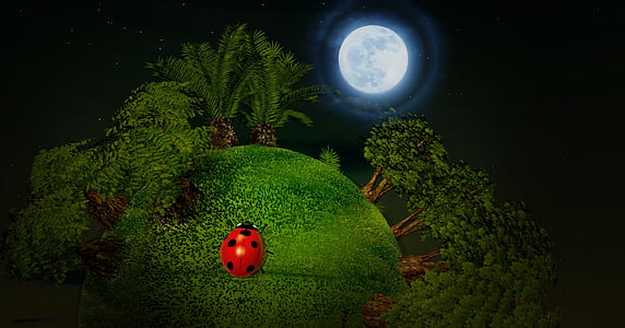 red and black ladybug on green grass photograph thumbnail
