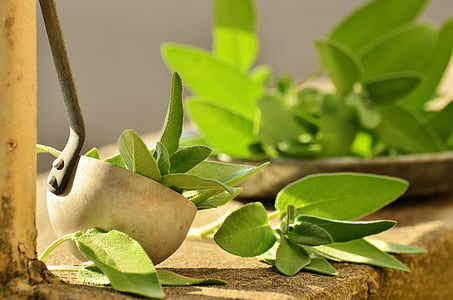 ladle with green leaves in it thumbnail