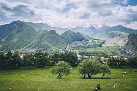 photo of green grass field with trees thumbnail