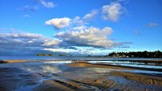 green trees near blue ocean under sunny sky thumbnail