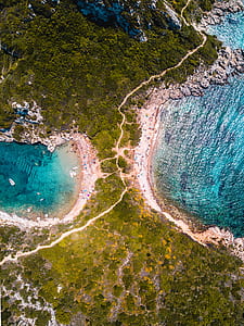 top view photography of beach and trees at daytime thumbnail