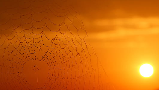 sky, sunset, sun, sunrise thumbnail