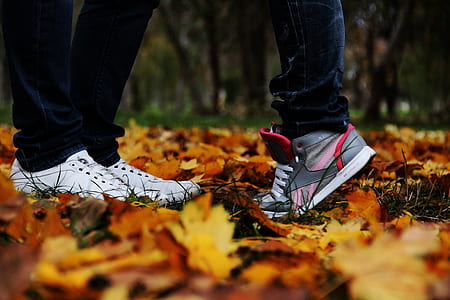 two people standing on brown leaves thumbnail