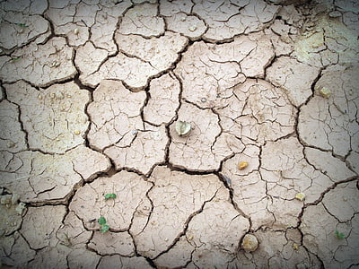 photo of dried soil thumbnail