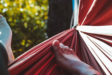 relaxing, food, feed, hammock thumbnail