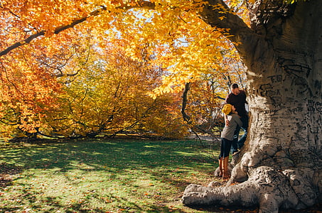 man and woman standing under the yellow leafed tree thumbnail