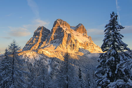 Snow Covered Mountain With Pine Trees thumbnail