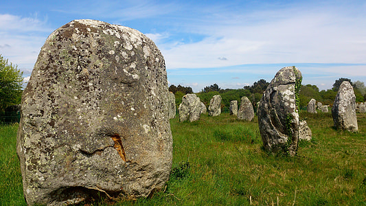 gray rock on green grass thumbnail
