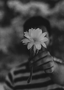 man holding greyscale photo of cactus flower thumbnail