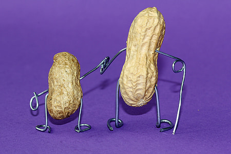 two brown peanuts thumbnail