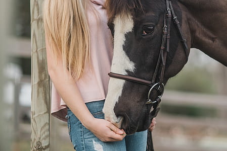 woman wearing pink top near brown and white horse thumbnail