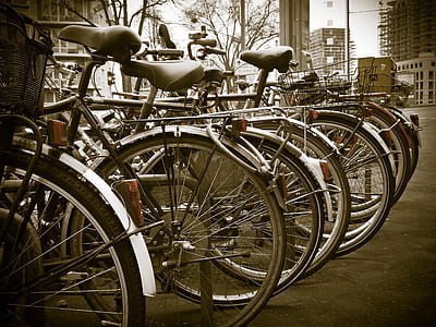gray cruiser bikes parked thumbnail