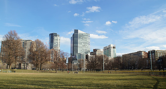 high-rise building under blue and white sky during daytime thumbnail