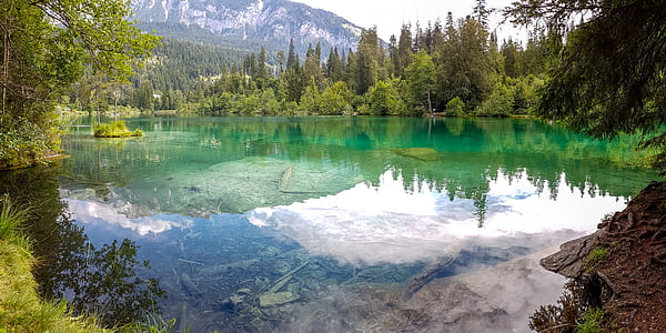 calm water near pine trees and mountain thumbnail