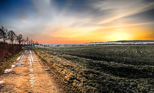 road beside trees during golden hour thumbnail