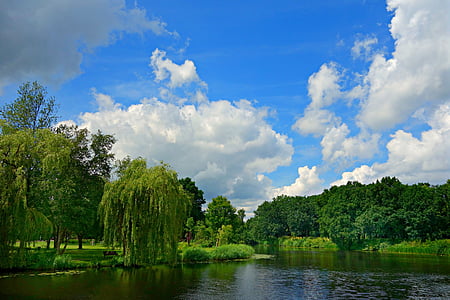 river beside green trees under blue sky thumbnail