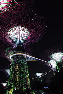 Garden by the Bay, Singapore thumbnail