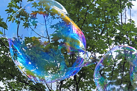 macro shot photography of bubbles during daytime thumbnail