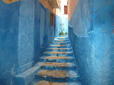 blue and white houses near staircase thumbnail