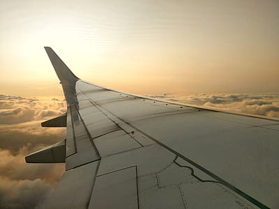 light, flight, dawn, sky thumbnail