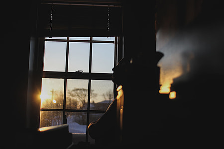 silhoutte of brown wooden decor thumbnail