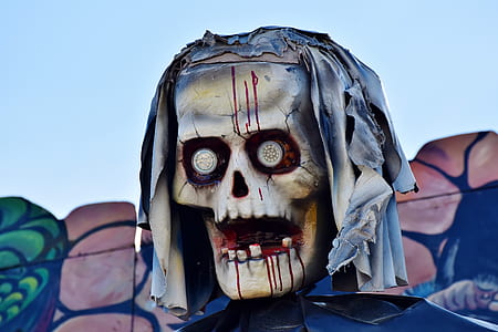 low angle photo of skull decor thumbnail