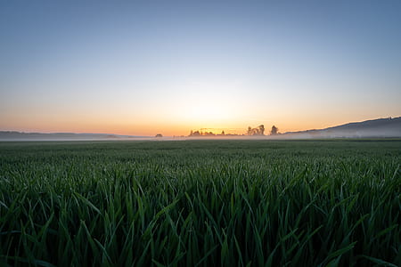 landscape photography of green grass field thumbnail