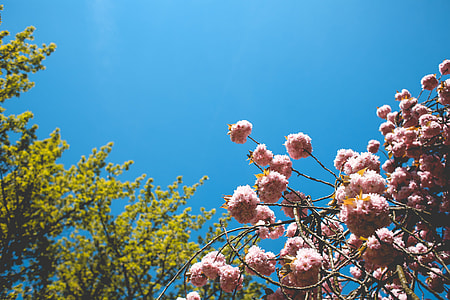 Spring Colors thumbnail