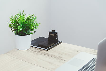 green leafed plant in pot beside ledger on table thumbnail