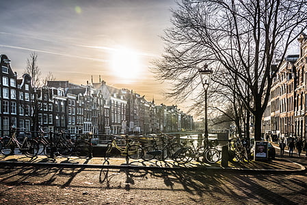 bare trees near bikes and buildings during golden hour thumbnail