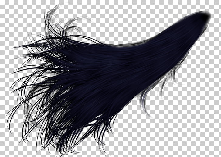 Hair Coloring Ponytail Desktop Long Curly Hair Png Clipart