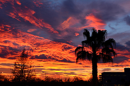 red clouds over tree thumbnail