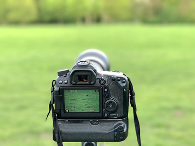 black DSLR camera near grass field thumbnail