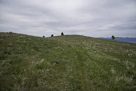 Grassy Hilltop on the Mount Ascension Trail, Helena thumbnail