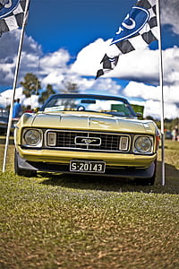yellow Ford Mustang on field thumbnail