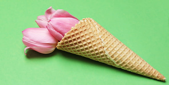 three pink tulip flowers on brown ice cream cone thumbnail