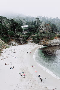 group of people on seashore at daytime thumbnail