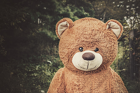 life-size brown bear plush toy standing outdoor thumbnail