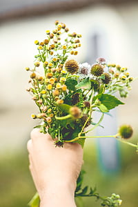 person holding yellow flowers thumbnail