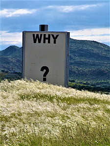 why signage on green field thumbnail