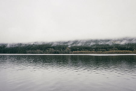 body of water near trees thumbnail