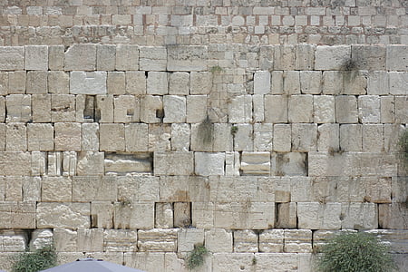 photography of gray concrete brick wall thumbnail