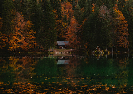 house in front body of water surrounded by trees thumbnail
