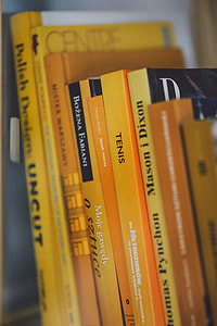 Books on a bookcase shelf thumbnail